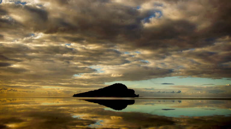 A_New_Dawn